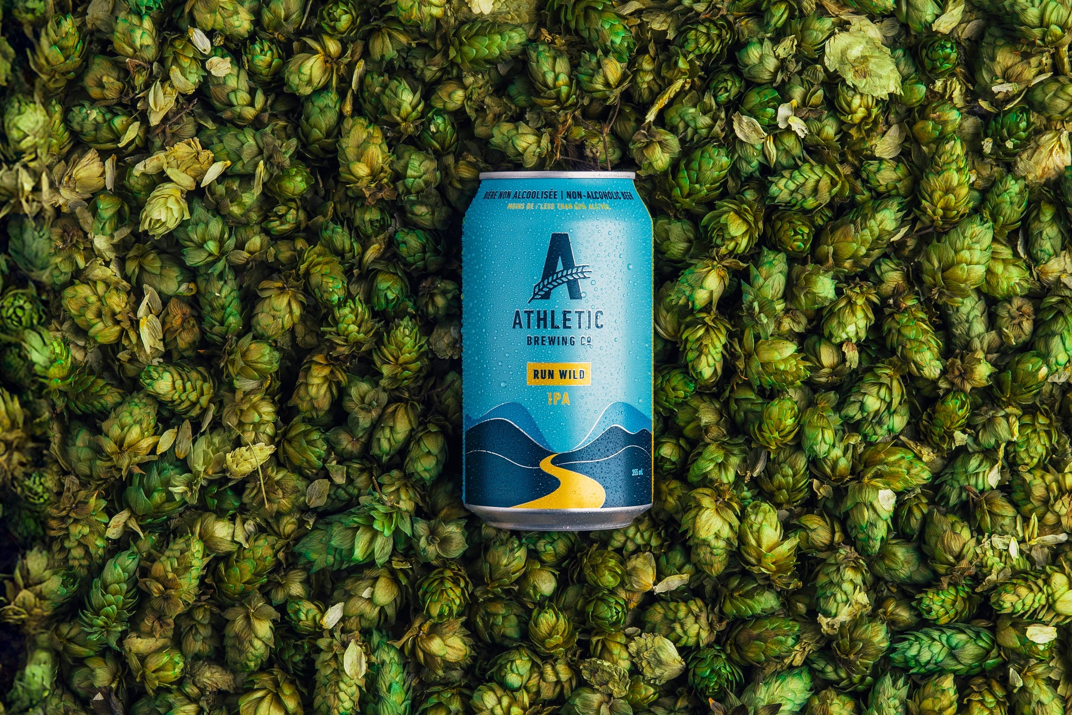 Non-Alcoholic IPA