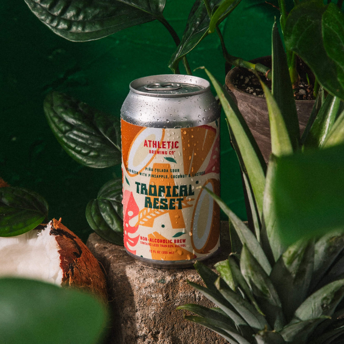 Tropical Reset